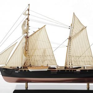 HMS Cockchafer Model Boat