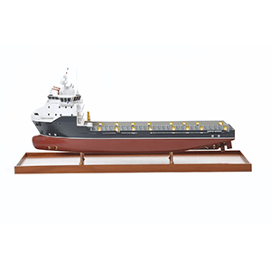 Other Bespoke Vessels Models