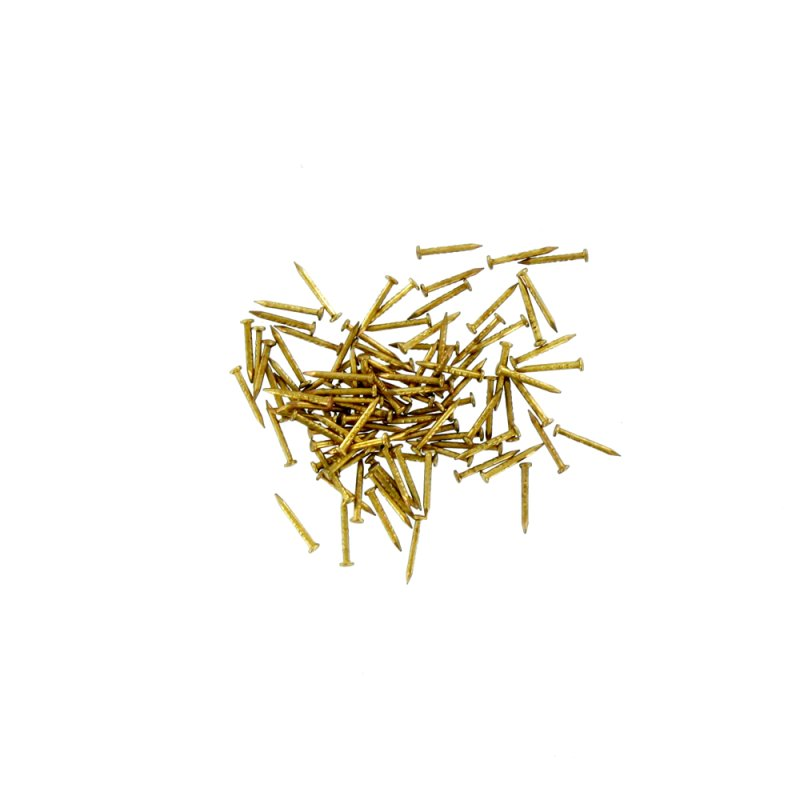 100 Pins for Pin Pusher - Shesto (PPU8174/PG)