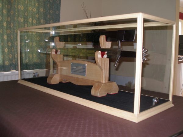 Display Case in Glass with Suede Base (PJ)